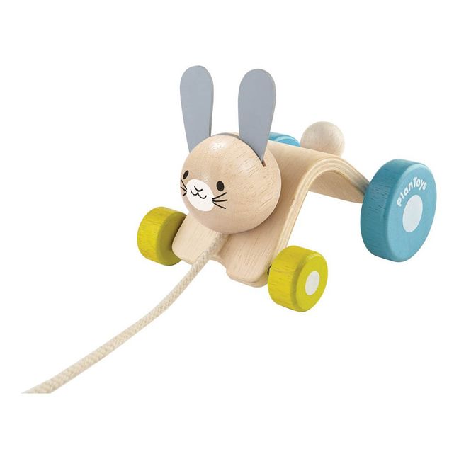 Jumping Rabbit
