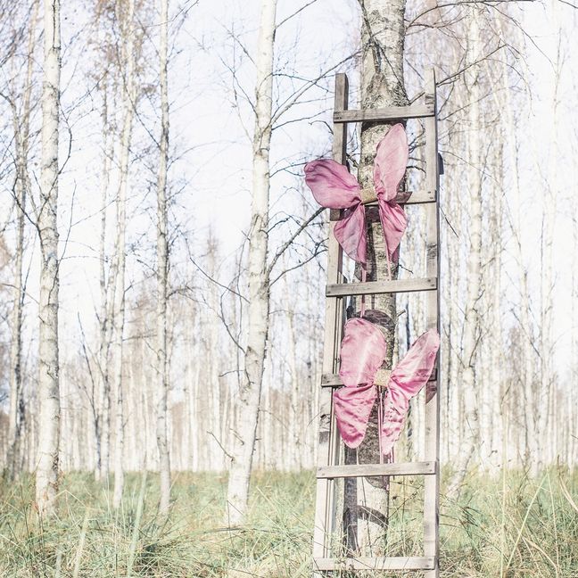 Ali di farfalla | Rose S025