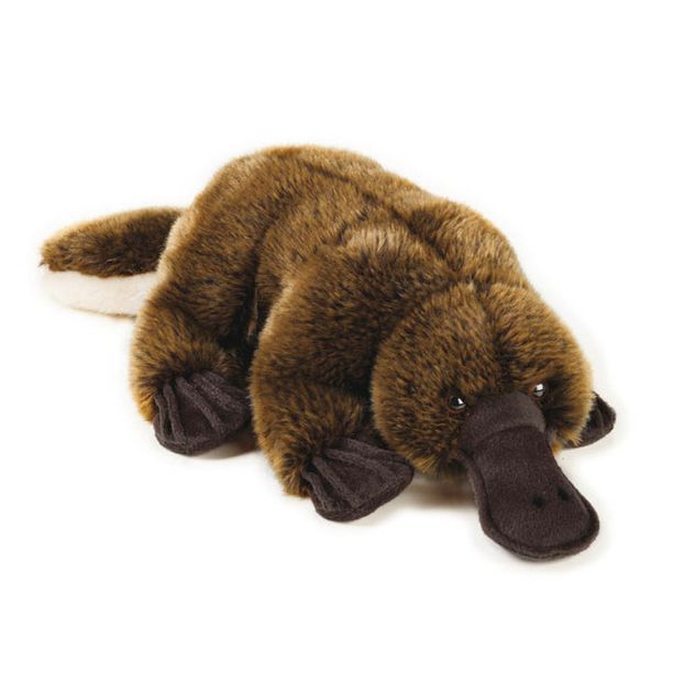 platypus toy