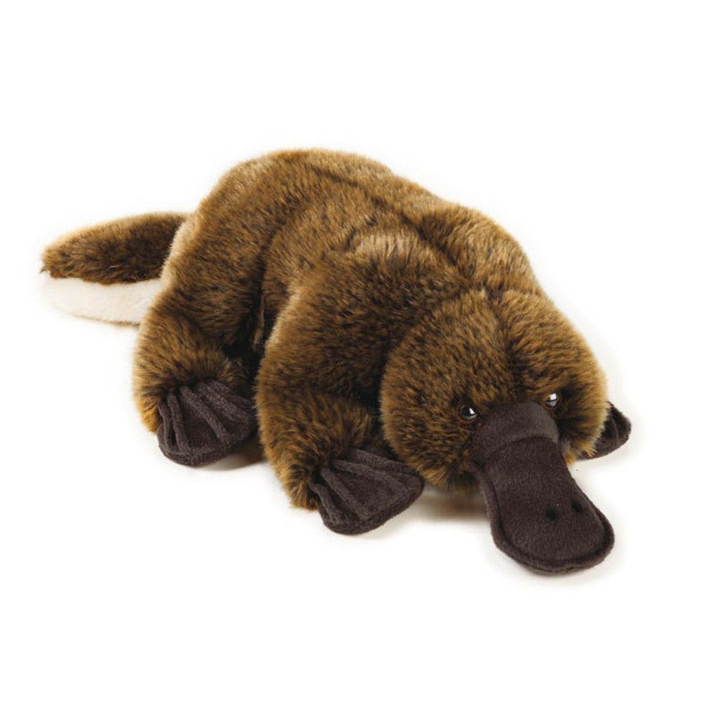 National Geographic - Peluche ornithorynque 30 cm