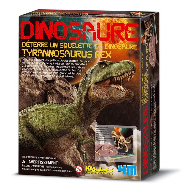 Set von Dinosaurier Ausgrabung  -T-Rex