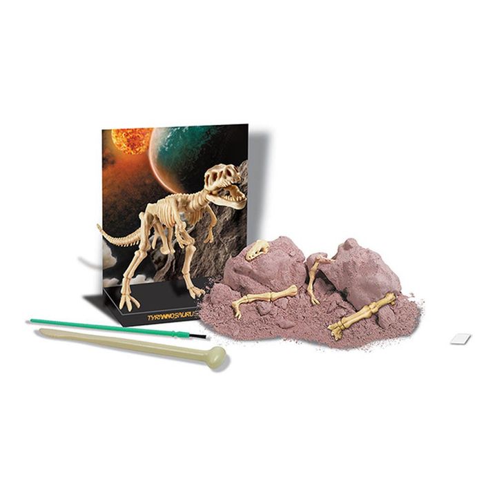 Set von Dinosaurier Ausgrabung  -T-Rex- Produktbild Nr. 1