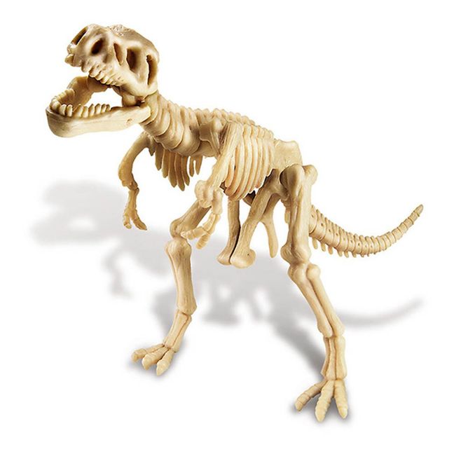 Kit déterre ton dinosaure T-Rex
