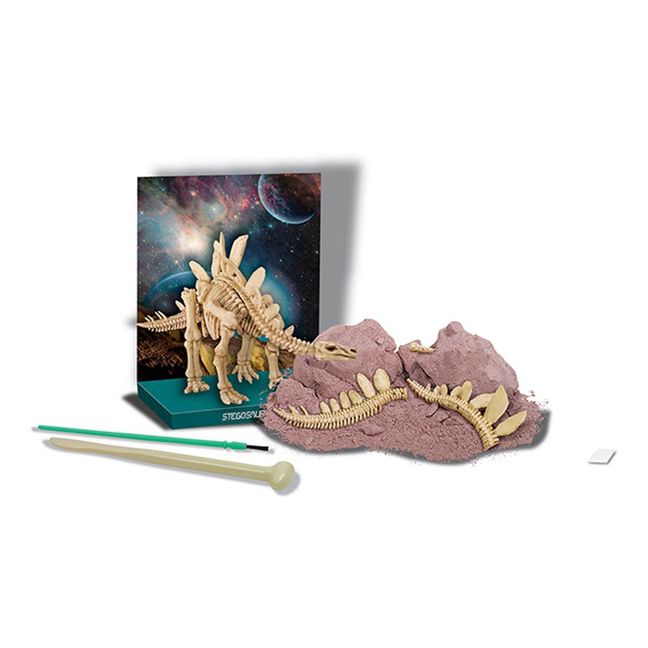 Set von Dinosaurier Ausgrabung  Stegosaurus