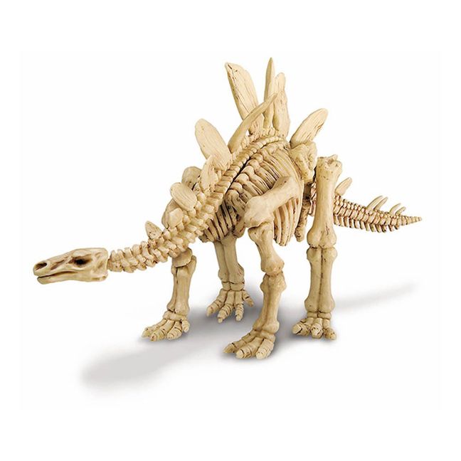 Kit destierra tu dinosaurio Stegosauro