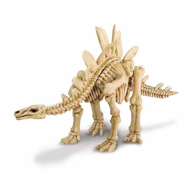 Set von Dinosaurier Ausgrabung  Stegosaurus