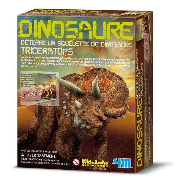 Kit Trova il tuo Triceraptopo