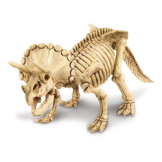 Dig A Triceratops Kit