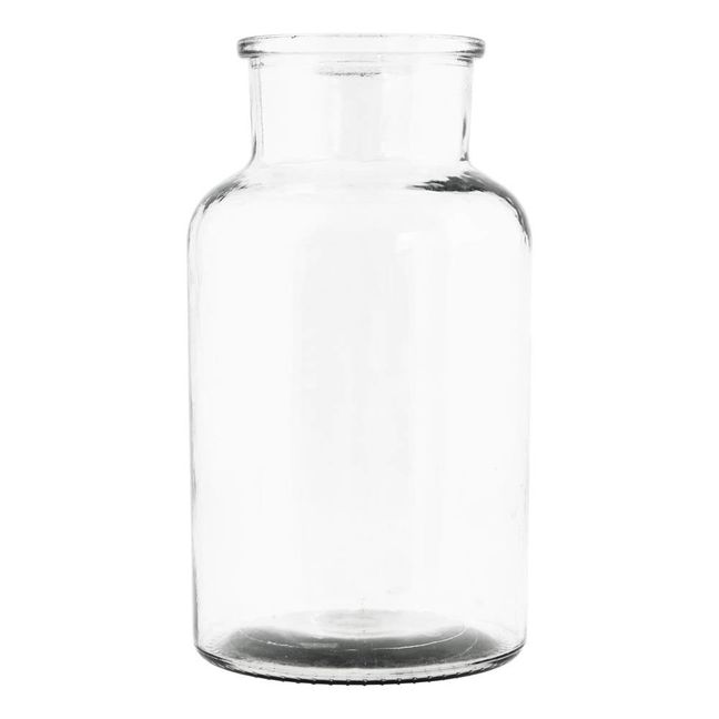 Vase Transparent