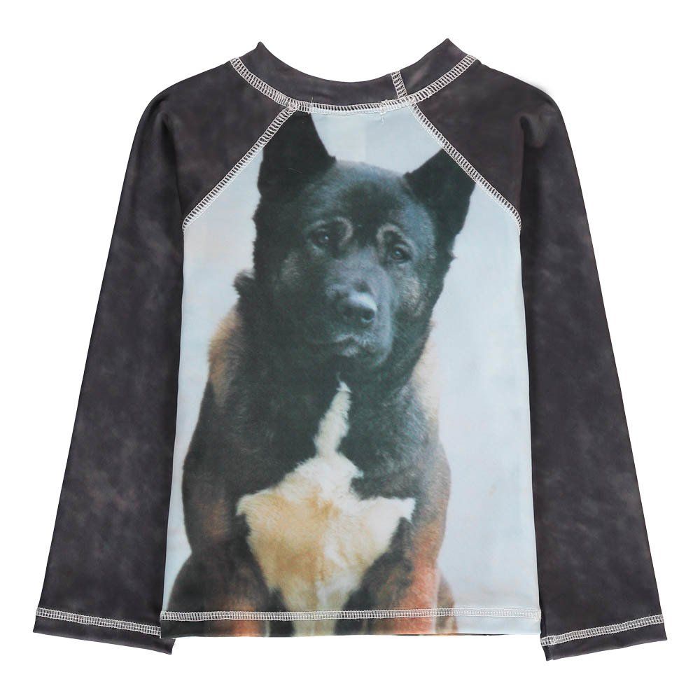 Dog UV Protective TShirt Grey Fashion Baby , Children