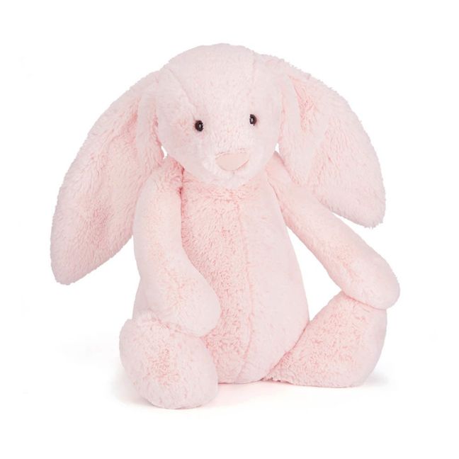 Bashful Rabbit With Large Ears