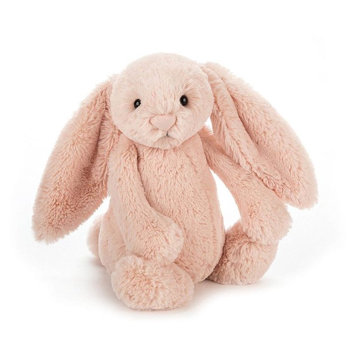 Bashful Bunny Soft Toy- Product image n°0
