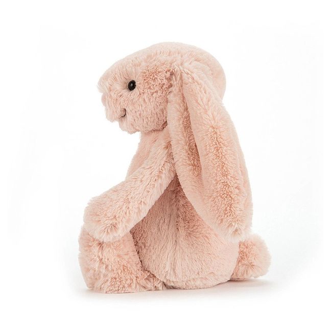 Bashful Bunny Soft Toy