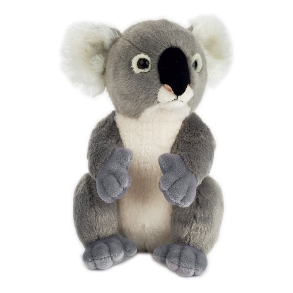 koala peluche