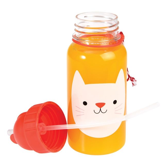 Gourde Cookie le chat 500ml