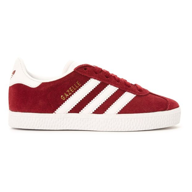 gazelle neonato