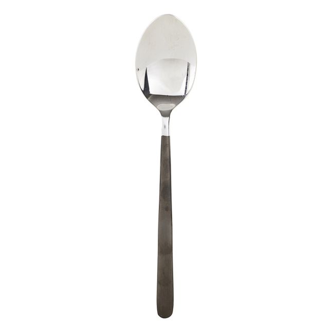 Stainless Steel Spoon | Steel