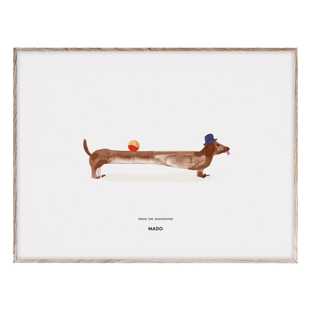 Affiche Doug the Dachshund 40x30 cm- Image produit n°0