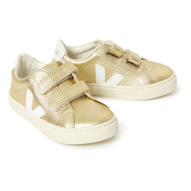 Baskets Scratchs Esplar Cuir | Doré