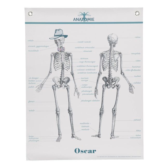 Anatomy Learning Board 70x90cm