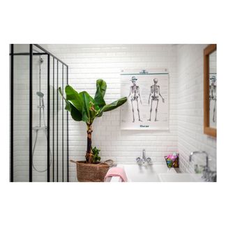 Les Jolies Planches Tabla Anatomía 70x90 cm-listing