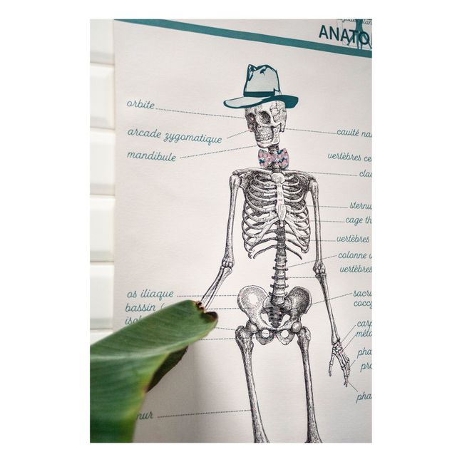 Planche Anatomie 70x90 cm