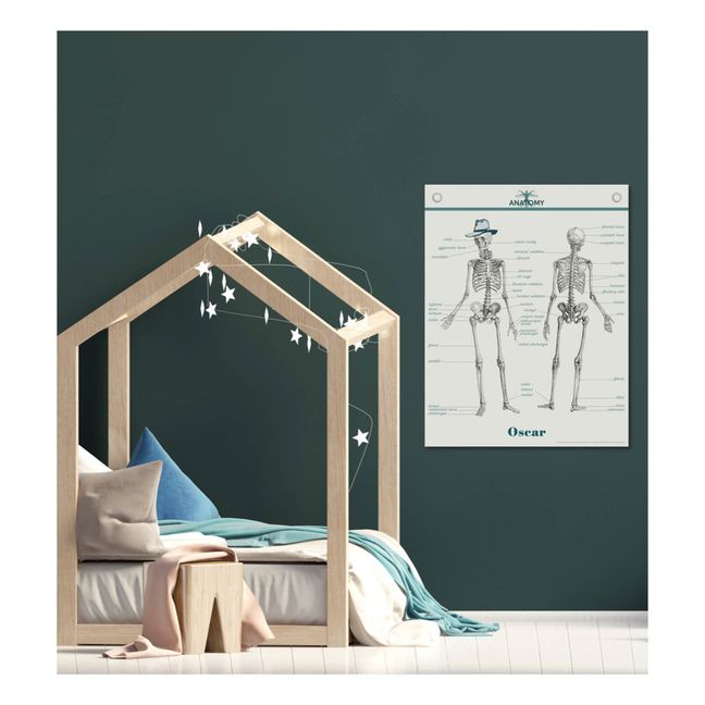 Anatomy poster - English - 70x90 cm