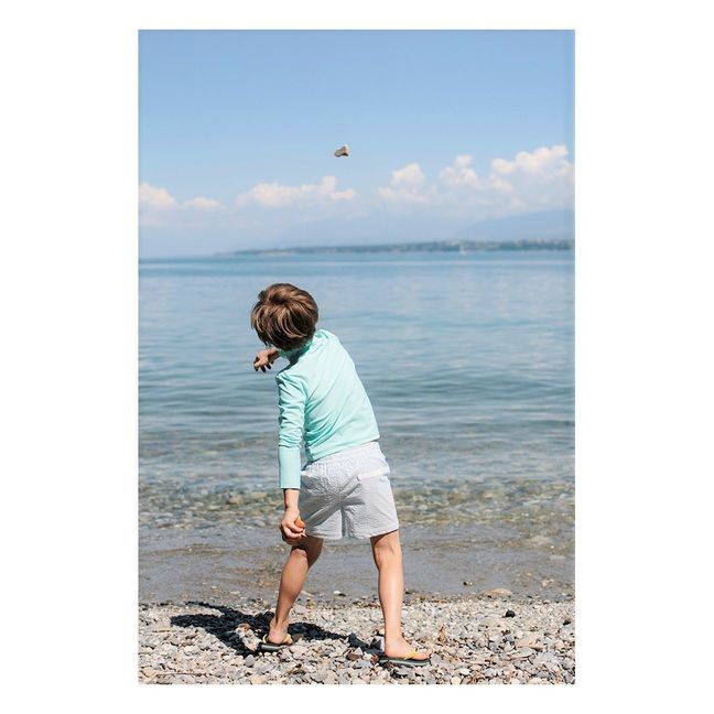 Biarritz swim shorts | Grey blue